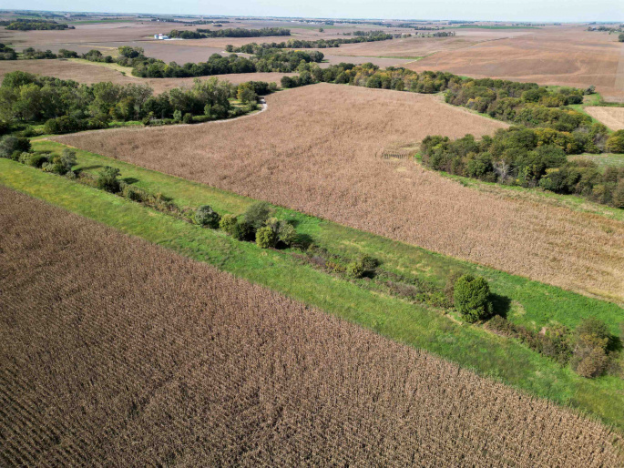 17-11-14 Howard County, Dannebrog, Nebraska 68831, 0 , 0 ,0,Land,For Sale,Howard County,0,20261461