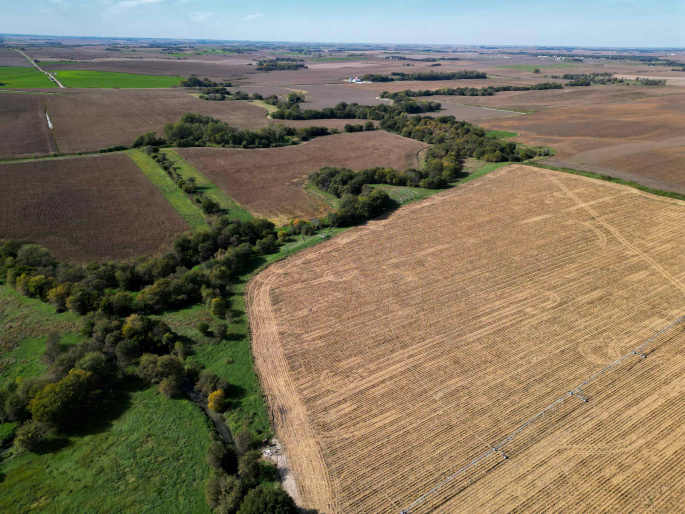 17-11-14 Howard County, Dannebrog, Nebraska 68831, 0 , 0 ,0,Land,For Sale,Howard County,0,20261461