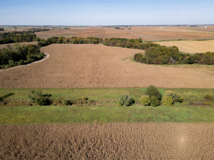 17-11-14 Howard County, Dannebrog, Nebraska 68831, 0 , 0 ,0,Land,For Sale,Howard County,0,20261461