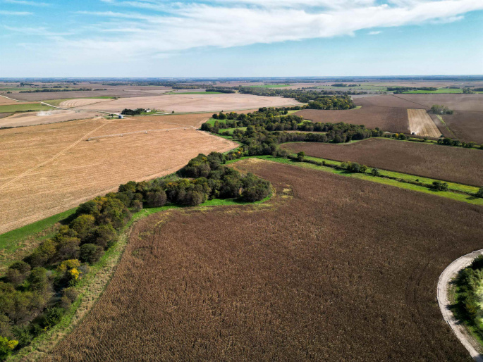 17-11-14 Howard County, Dannebrog, Nebraska 68831, 0 , 0 ,0,Land,For Sale,Howard County,0,20261461