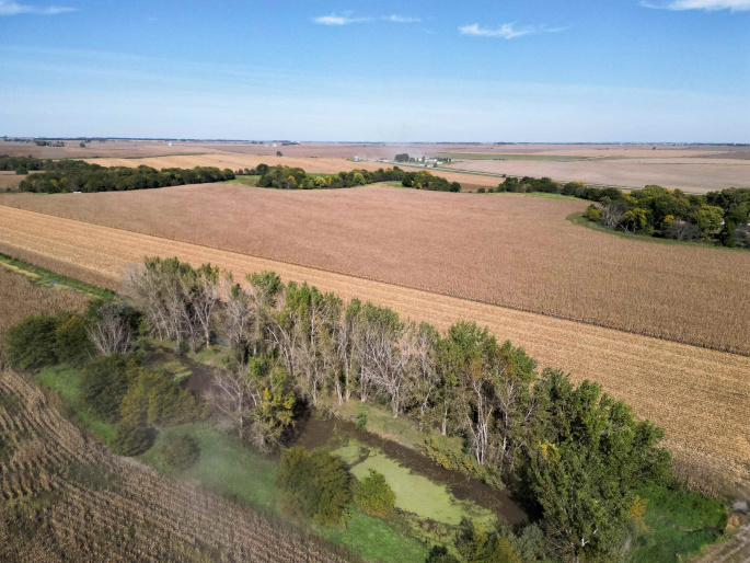 17-11-14 Howard County, Dannebrog, Nebraska 68831, 0 , 0 ,0,Land,For Sale,Howard County,0,20261461