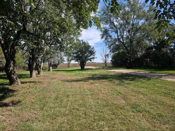 19290 Buckeye Road, Gibbon, Nebraska 68840, 3 Bedroom Bedrooms, 0 ,2 BathroomBathrooms,Residential,For Sale,Buckeye Road,0,20261471