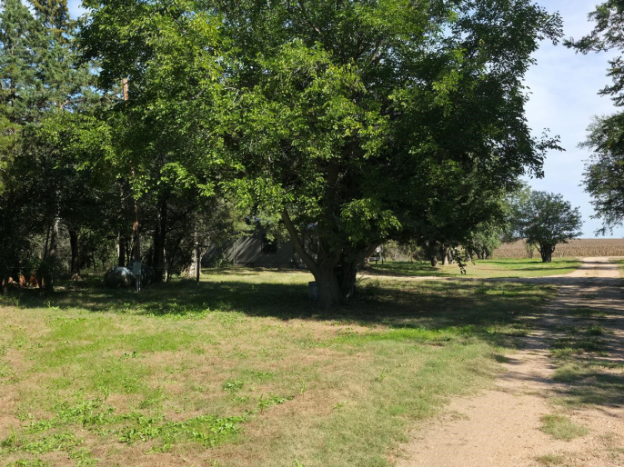 19290 Buckeye Road, Gibbon, Nebraska 68840, 3 Bedroom Bedrooms, 0 ,2 BathroomBathrooms,Residential,For Sale,Buckeye Road,0,20261471